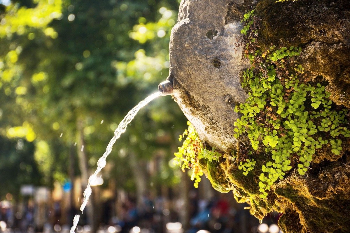 Fontaine moussue à Aix-en-Provence, cours ombragé